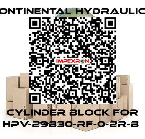 cylinder block for HPV-29B30-RF-0-2R-B  Continental Hydraulics