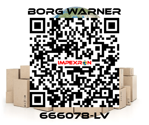 666078-LV Borg Warner