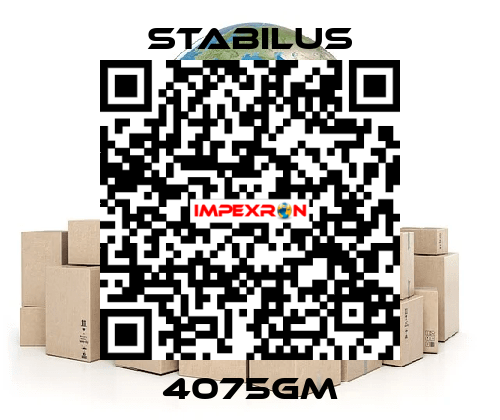 4075GM Stabilus